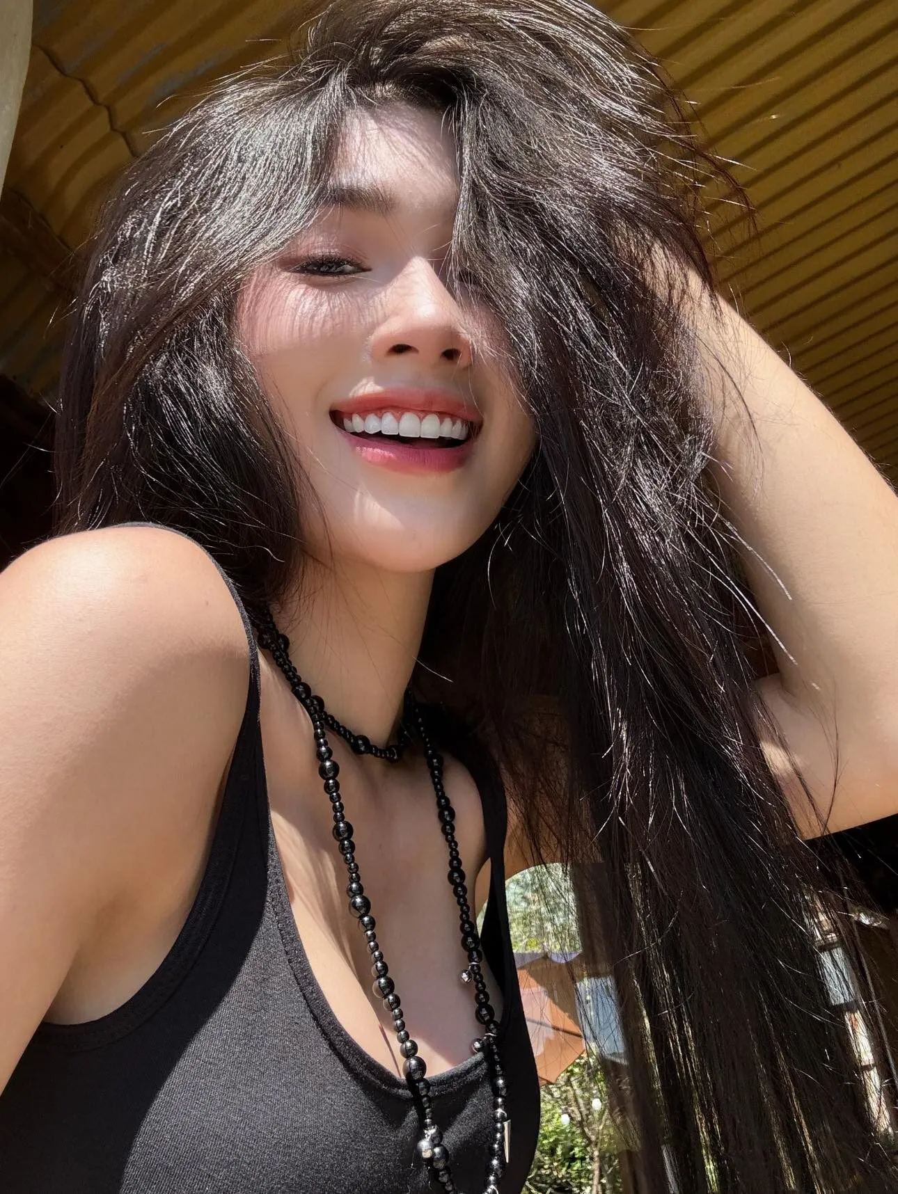 Hà vy 